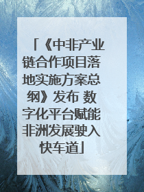 《中非产业链合作项目落地实施方案总纲》发布 数字化平台赋能非洲发展驶入快车道