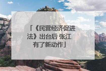 《民营经济促进法》出台后 张江有了新动作