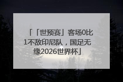 「世预赛」客场0比1不敌印尼队，国足无缘2026世界杯