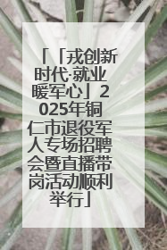 「戎创新时代·就业暖军心」2025年铜仁市退役军人专场招聘会暨直播带岗活动顺利举行