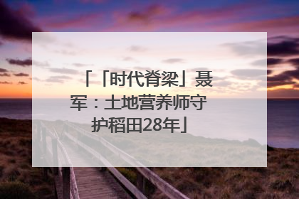 「时代脊梁」聂军：土地营养师守护稻田28年