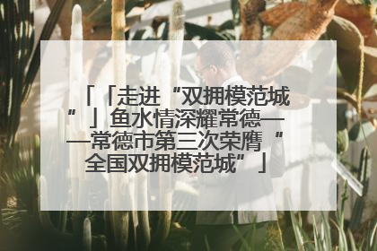「走进“双拥模范城”」鱼水情深耀常德——常德市第三次荣膺“全国双拥模范城”