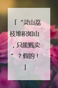 “灵山荔枝堆积如山，只能贱卖”？假的！