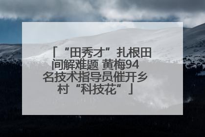“田秀才”扎根田间解难题 黄梅94名技术指导员催开乡村“科技花”