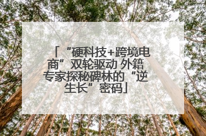 “硬科技+跨境电商”双轮驱动 外籍专家探秘碑林的“逆生长”密码