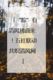“粽”有清风拂面来！五社联动共织清风网