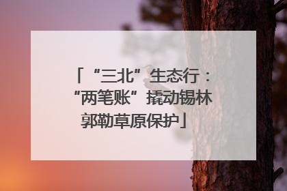 “三北”生态行：“两笔账”撬动锡林郭勒草原保护