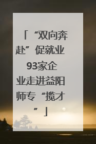 “双向奔赴”促就业 93家企业走进益阳师专“揽才”