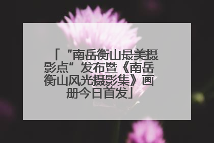 “南岳衡山最美摄影点”发布暨《南岳衡山风光摄影集》画册今日首发