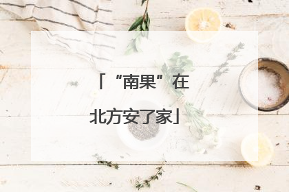 “南果”在北方安了家