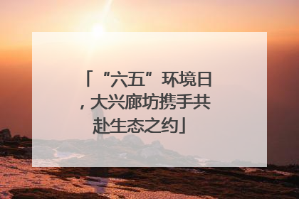 “六五”环境日，大兴廊坊携手共赴生态之约