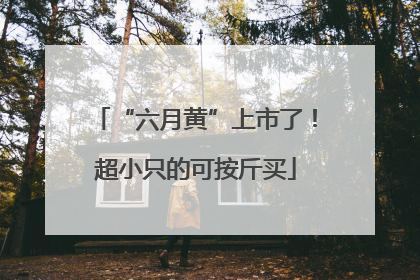“六月黄”上市了！超小只的可按斤买