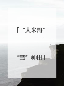 “大米哥”“慧”种田
