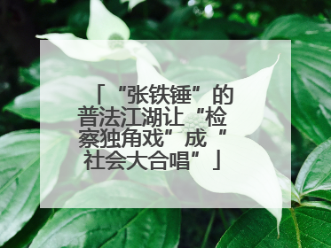 “张铁锤”的普法江湖让“检察独角戏”成“社会大合唱”