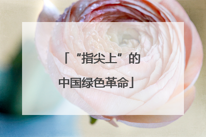 “指尖上”的中国绿色革命
