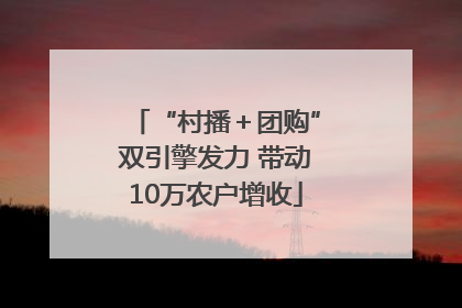 “村播＋团购”双引擎发力 带动10万农户增收