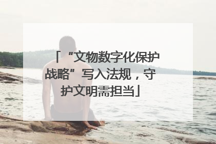 “文物数字化保护战略”写入法规，守护文明需担当