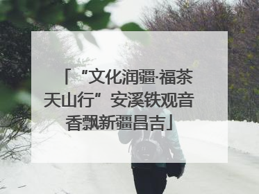 “文化润疆·福茶天山行”安溪铁观音香飘新疆昌吉