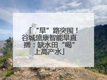 “旱”路突围！谷城盛康智能旱直播：缺水田“喝”上高产水