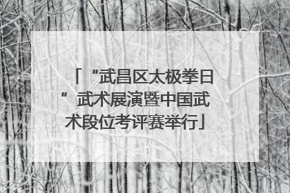 “武昌区太极拳日”武术展演暨中国武术段位考评赛举行
