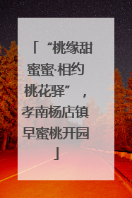 “桃缘甜蜜蜜·相约桃花驿”，孝南杨店镇早蜜桃开园