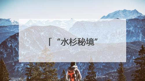 “水杉秘境”成鹭鸟家园
