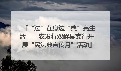 “法”在身边“典”亮生活——农发行双峰县支行开展“民法典宣传月”活动