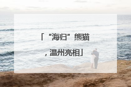 “海归”熊猫，温州亮相