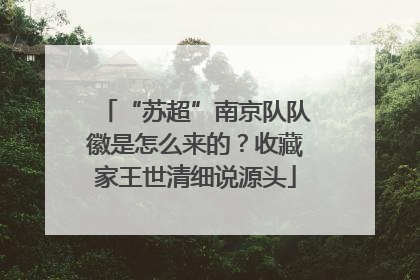 “苏超”南京队队徽是怎么来的？收藏家王世清细说源头