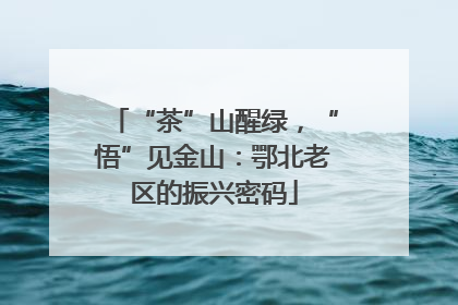 “茶”山醒绿，“悟”见金山：鄂北老区的振兴密码