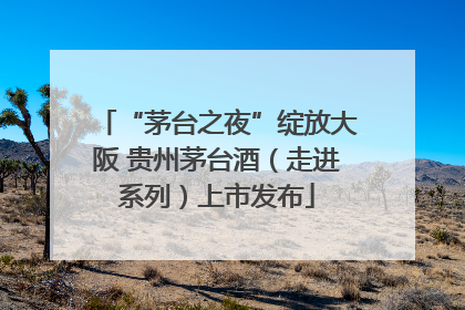 “茅台之夜”绽放大阪 贵州茅台酒（走进系列）上市发布
