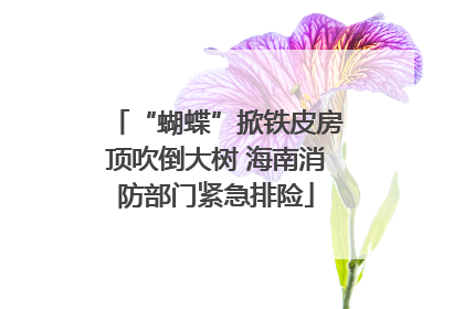 “蝴蝶”掀铁皮房顶吹倒大树 海南消防部门紧急排险