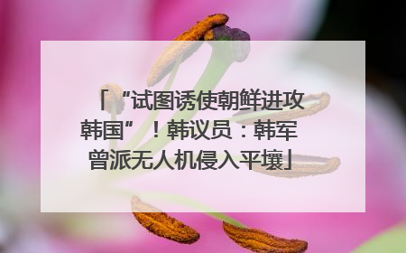 “试图诱使朝鲜进攻韩国”！韩议员：韩军曾派无人机侵入平壤