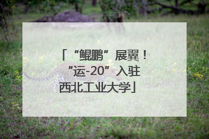 “鲲鹏”展翼！“运-20”入驻西北工业大学