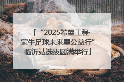 “2025希望工程·蒙牛足球未来星公益行”临沂站选拔圆满举行