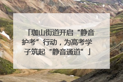珈山街道开启“静音护考”行动，为高考学子筑起“静音通道”