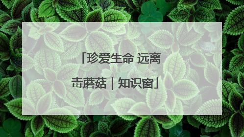 珍爱生命 远离毒蘑菇｜知识窗