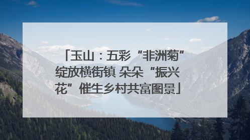 玉山：五彩“非洲菊”绽放横街镇 朵朵“振兴花”催生乡村共富图景