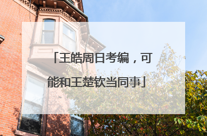 王皓周日考编,可能和王楚钦当同事