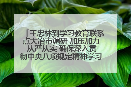 王忠林到学习教育联系点大冶市调研 加压加力 从严从实 确保深入贯彻中央八项规定精神学习教育取得实效