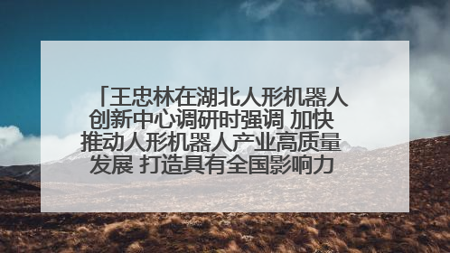 王忠林在湖北人形机器人创新中心调研时强调 加快推动人形机器人产业高质量发展 打造具有全国影响力的研发创新基地