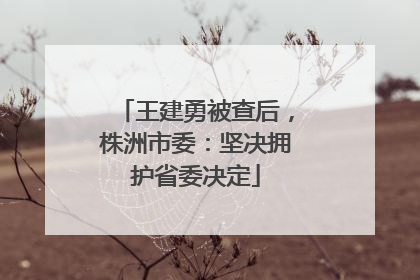 王建勇被查后，株洲市委：坚决拥护省委决定