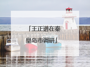 王正谱在秦皇岛市调研