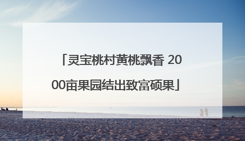 灵宝桃村黄桃飘香 2000亩果园结出致富硕果