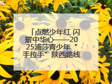 点燃少年红 闪耀中华心——2025浦莎青少年“手拉手”陕西路线丝路续新章