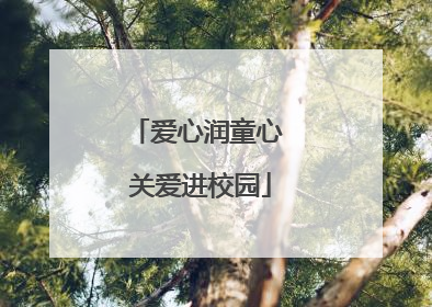爱心润童心 关爱进校园