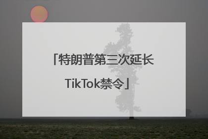 特朗普第三次延长TikTok禁令