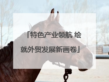 特色产业领航 绘就外贸发展新画卷