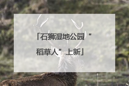石狮湿地公园“稻草人”上新
