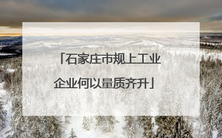 石家庄市规上工业企业何以量质齐升